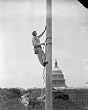 [19]39 July 11. Tarzan paints the Senate flagpole. Washington, D.C., July 11. There comes a time eac