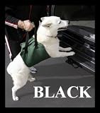 Pet Supplies : BLACK - Outward Hound Up and Out Lift Harness