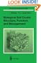Biological Soil Crusts