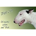 Fu�matte, Fu�abtreter Bullterrier, Bull Terrier