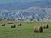 Round Alfalfa Hay Bales Rest in the Forefront Photographic Poster Print by Bill Ellze...