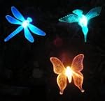 3 Piece Decorative Solar Light Set (H...