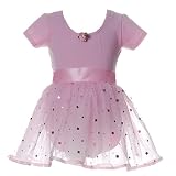 Toddler Little Girls Clothes Dance PINK Leotard Tutu Set REFLECTIONZ Girl 2-6
