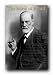 Sigmund Freud Quotes Poster