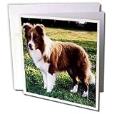 Dogs Border Collie - Border Collie Tan and White - Greeting Cards-6 Greeting Cards with envelopes