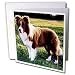 Dogs Border Collie - Border Collie Tan and White - Greeting Cards-12 Greeting Cards with envelopes