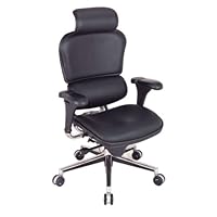 Ergohuman Leather Chair