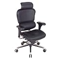 Ergohuman Leather Chair