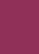 Dimensions Oversized Color Sample - Allium Poof