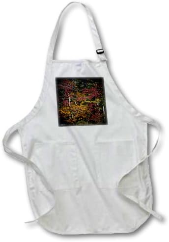 apr_49706_2 Angel Wings Designs Fall Leaves - Fall Colors Pop - Tress Showing Their Best Colors Fall - Aprons - Medium Length Apron with Pouch Pockets 22w x 24l
