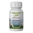PetAlive GlucoBalance for Ongoing Healthy Pet Blood Sugar Levels (60 Caps)