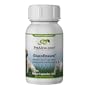PetAlive GlucoBalance for Ongoing Healthy Pet Blood Sugar Levels (60 Caps)