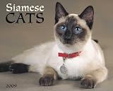 Siamese Cats 2009 Wall Calendar 13 X 10.5
