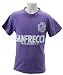 (Jリーグエンタープライズ)J.LEAGUE ENTERPRISE サンフレッチェ広島 ベーシックTシャツ 1 JR P60349