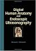 Digital Human Anatomy and Endoscopic Ultrasonography