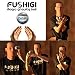 Fushigi Magic Gravity Ball