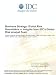 Books : Business Strategy: Global Risk Roundtable  -  Insights from IDC's Global Risk Analyst Team