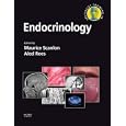 Specialist Training in Endocrinology (Specialist Training in) by Maurice Scanlon and D. A. Rees