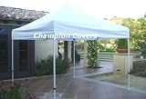 Champion Replacement top for Ez Up 10 x 10 White