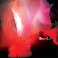 Rumskib