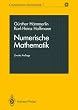 Numerische Mathematik (Grundwissen Mathematik)