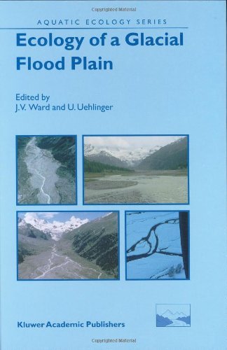 Ecology of a Glacial Flood Plain (Aquatic Ecology Series)