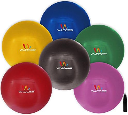 Wacces® Fitness Exercise and Stability Ball