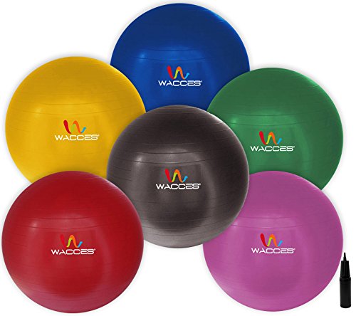 Wacces® Fitness Exercise and Stability Ball