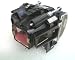 Lampedia Replacement Lamp for LUXEON LM-X25