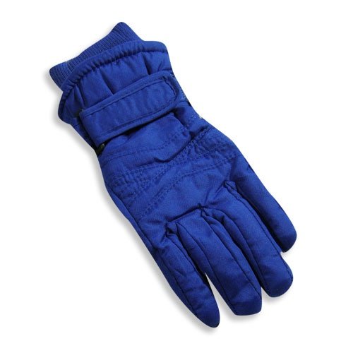 Winter Warm-Up - Toddler Boys Ski Glove, Royal
