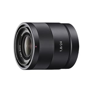 Sony 24.3 MP Digital SLR Touchscreen