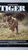 Tiger : portrait of a predator
