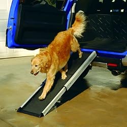 Mr. Herzher's Smart Ramp