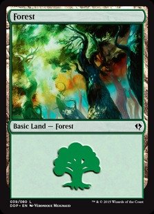 Magic: the Gathering - Forest (39) - Duel Decks: Zendikar vs Eldrazi