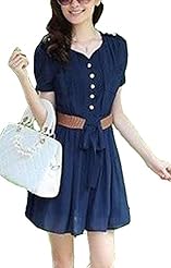 Chiffon Short Sleeves 2013  Dress