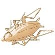 14K Yellow Gold Cockroach Brooch - 26 grams