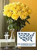The Humane Society of the United States Roses, Eco-Friendly - Yellow Rose Bouquet