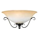 Quoizel DH8801PN Duchess 7-1/2-Inch One Light Pocket Sconce with CHAMPAGNE MARBLE GLASS, Palladian Bronze Finish