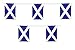 Scotland Flag Scottish String Flags Banner 33ft Decoration