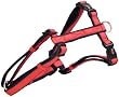 Dog Gone Smart Harness, 1" x 30-40", Red/Navy