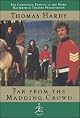 Far from the Madding Crowd