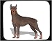 Decorated Mouse Pad with dog, vicious, doberman, pet