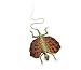 Red Flying Lizard Preserved Specimen | 1 piece
