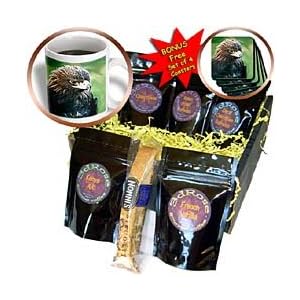 Birds - Golden Eagle - Coffee Gift Baskets - Coffee Gift Basket by 3dRose LLC