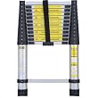 12 Foot Telescoping Extension Ladder