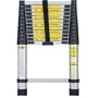 12 Foot Telescoping Extension Ladder