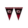South Carolina Gamecocks NCAA 25Ft String Of 6 x 9 Party Pennants (Flags) by BSI Products Inc.