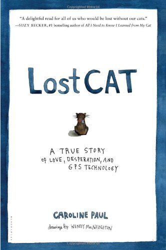 Lost Cat Story Desperation Technology