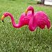Search: Hot Pink Flamingo Search: Hot Pink Flamingo