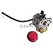 Stens 520-866 Carburetor/MTD 951-10881